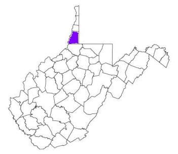 marshall county, marshall county police, marshall county west virginia, marshall county police agencies, police department, wv police, west virginia police department, state police, sheriff, west virginia police, west virginia police, west virginia police officers, west virginia cops, police, cops, officer, west virginia, agency, county, police department, sheriff department, sheriff office, wv police, wv cops