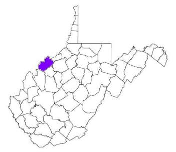 wood county, wood county police, wood county west virginia, wood county police agencies, police department, wv police, west virginia police department, state police, sheriff, west virginia police, west virginia police, west virginia police officers, west virginia cops, police, cops, officer, west virginia, agency, county, police department, sheriff department, sheriff office, wv police, wv cops